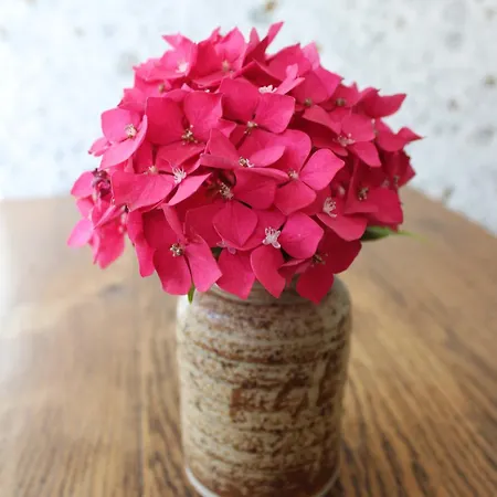 Panzió De Charme & Acces Boutique Brocante *