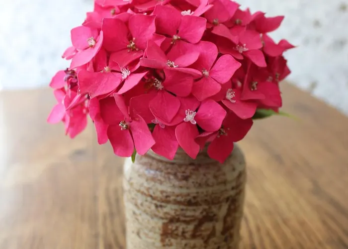 Bed & Breakfast De Charme & Acces Boutique Brocante *